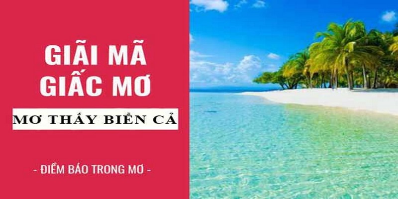 Tìm Hiểu Ý Nghĩa Giấc Mơ Thấy Biển & Số May Mắn Tại Jun88 2 Giải mã các tình huống mơ thấy biển