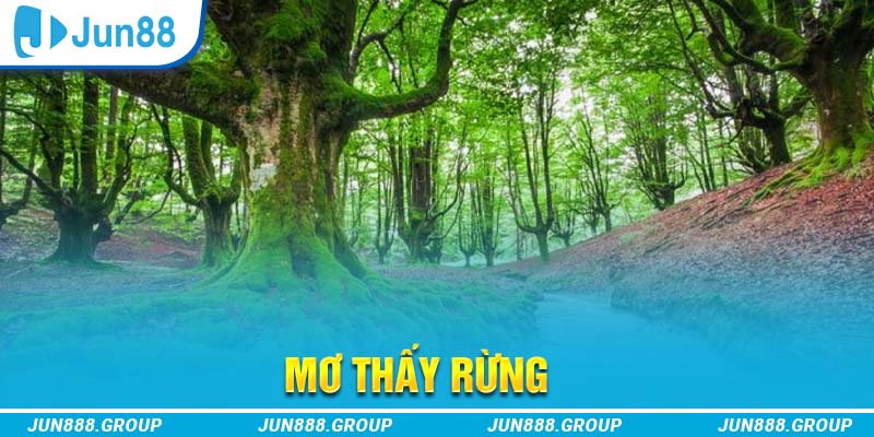 Mơ Thấy Rừng Là Điềm Báo Lành Hay Dữ, Nên Đánh Số Nào? 1 Giải mã ý nghĩa giấc mơ thấy rừng là tốt hay xấu
